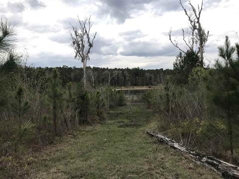 559 Kittrell Rd, Quincy, FL 32351 photo 1