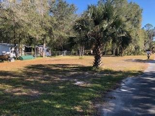 4180 Olin Davis Rd, Perry, FL 32347 photo 26