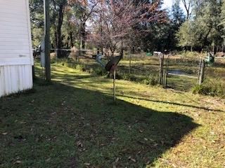 4180 Olin Davis Rd, Perry, FL 32347 photo 21