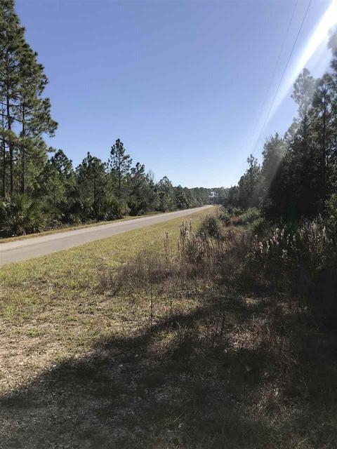 16721 Jabo Rd, Perry, FL 32348 photo 15