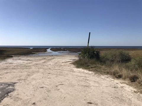 16721 Jabo Rd, Perry, FL 32348 photo 17
