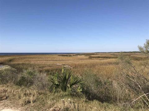 16721 Jabo Rd, Perry, FL 32348 photo 16