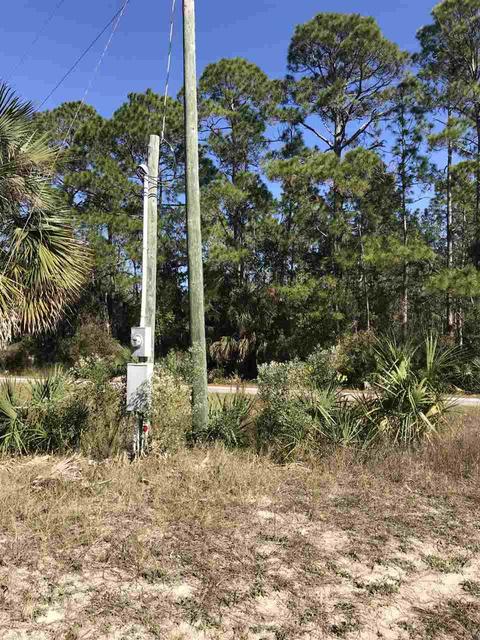 16721 Jabo Rd, Perry, FL 32348 photo 14
