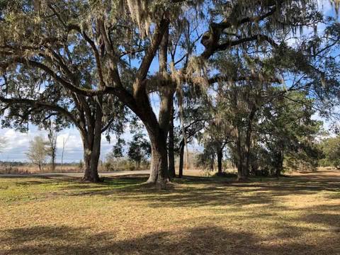 8470 Beach Rd, Perry, FL 32348 photo 23