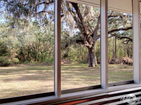 8470 Beach Rd, Perry, FL 32348 photo 24
