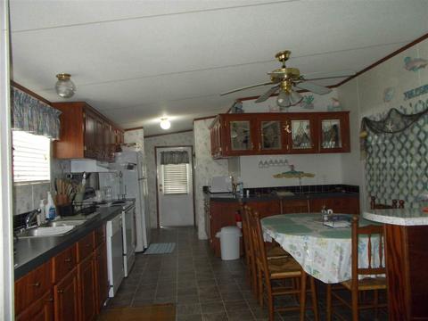 97 Jer-be-lou, Panacea, FL 32346 photo 3