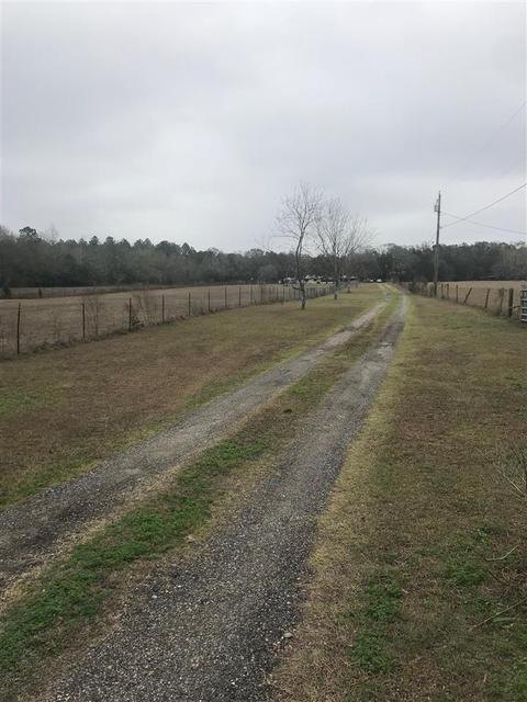 2140 Johnson Stripling Rd, Perry, FL 32347 photo 5