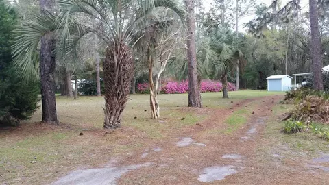 1175 Wright Rd, Perry, FL 32347 photo 22