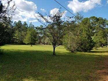 2059 Morgan Whiddon Rd, Perry, FL 32347 photo 19