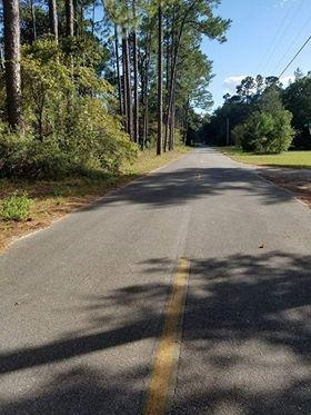2059 Morgan Whiddon Rd, Perry, FL 32347 photo 18