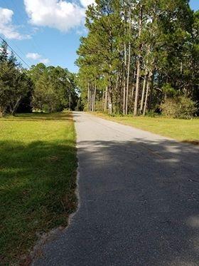 2059 Morgan Whiddon Rd, Perry, FL 32347 photo 17
