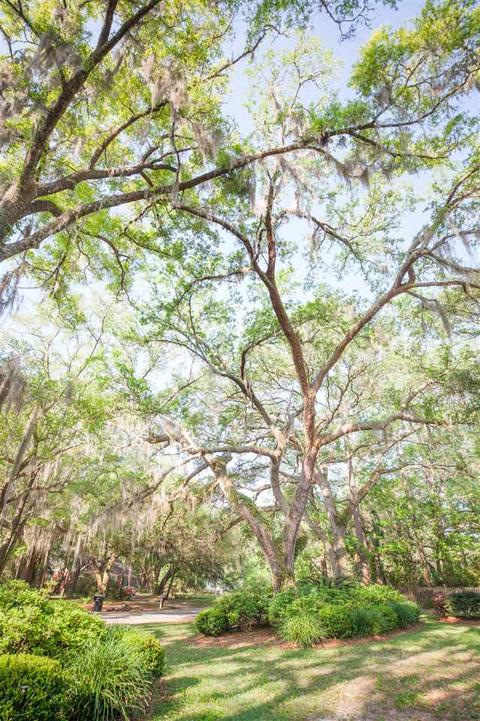 122 Ridge Rd, Perry, FL 32348 photo 4