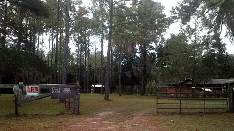 14535 Robert Ezell Rd, Perry, FL 32348 photo 31