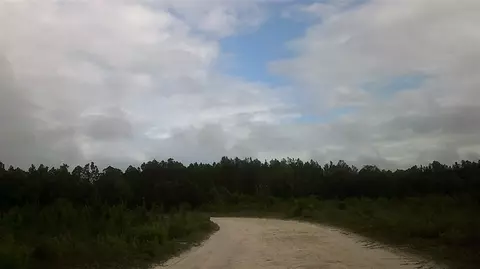 14535 Robert Ezell Rd, Perry, FL 32348 photo 35