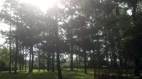14535 Robert Ezell Rd, Perry, FL 32348 photo 26