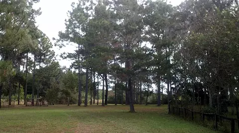 14535 Robert Ezell Rd, Perry, FL 32348 photo 34