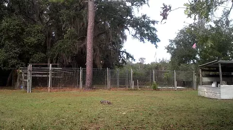 14535 Robert Ezell Rd, Perry, FL 32348 photo 5