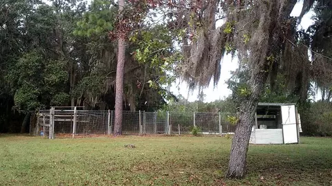 14535 Robert Ezell Rd, Perry, FL 32348 photo 32