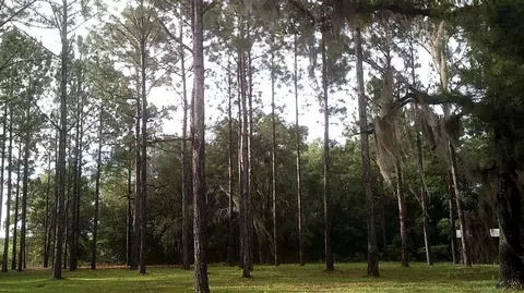 14535 Robert Ezell Rd, Perry, FL 32348 photo 6