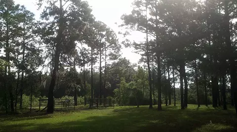 14535 Robert Ezell Rd, Perry, FL 32348 photo 27