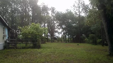 14535 Robert Ezell Rd, Perry, FL 32348 photo 10