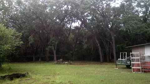 14535 Robert Ezell Rd, Perry, FL 32348 photo 8
