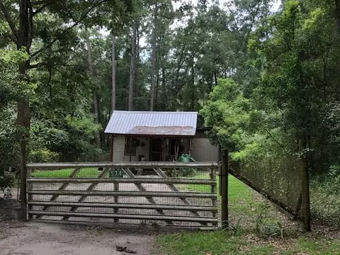 534 Rudd Rd, Monticello, FL 32344 photo 5