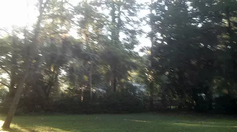 717 W Veterans Dr, Perry, FL 32347 photo 23