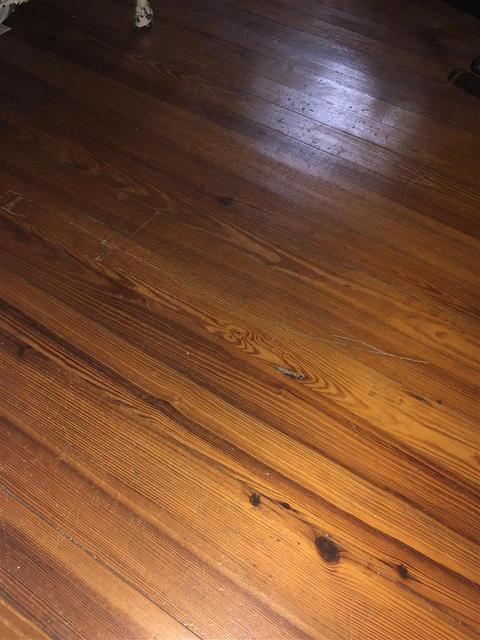 Undisclosed, Perry, FL 32347 photo 8