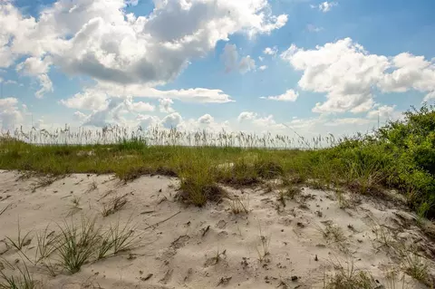 655 Bald Point Rd, Alligator Point, FL 32346 photo 34