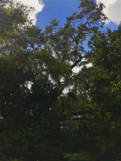 105 W Cedar St, Perry, FL 32347 photo 18