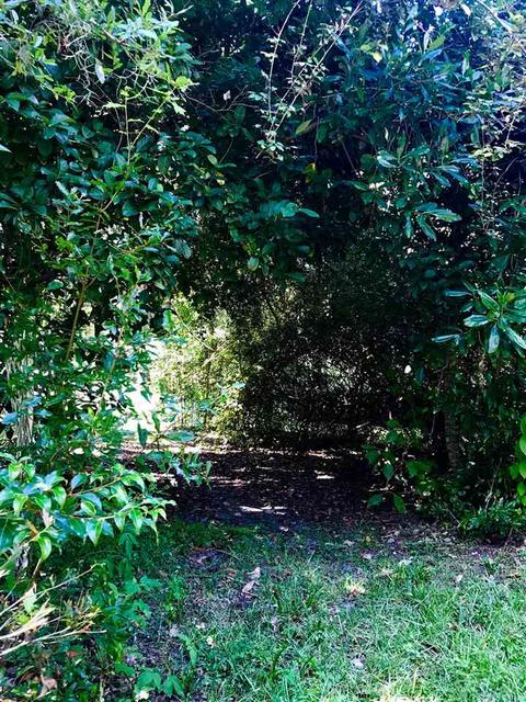 105 W Cedar St, Perry, FL 32347 photo 9
