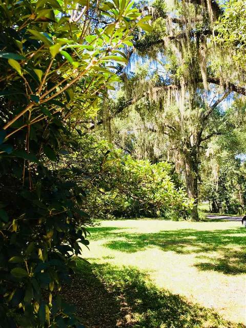 105 W Cedar St, Perry, FL 32347 photo 8
