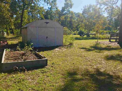 2259 Red Oak Rd, Perry, FL 32348 photo 5