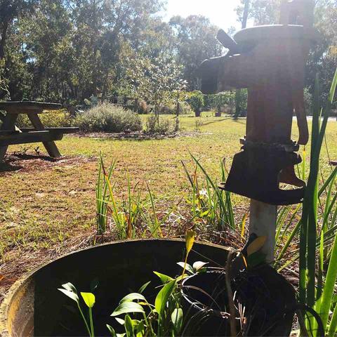 2259 Red Oak Rd, Perry, FL 32348 photo 8