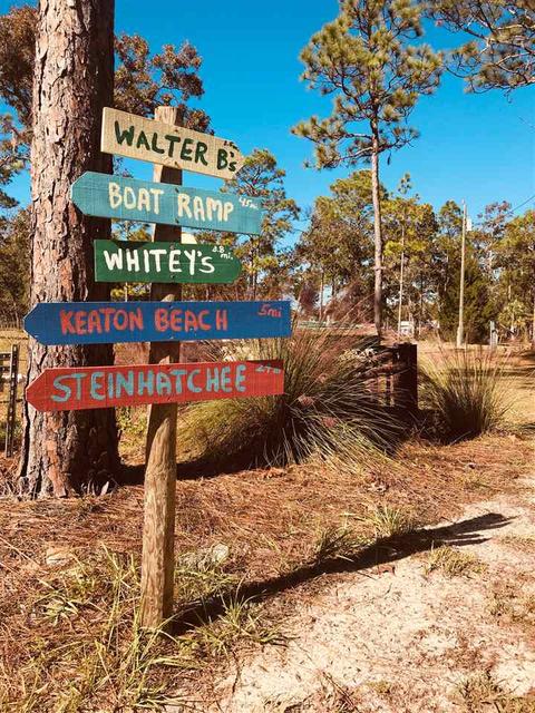 2259 Red Oak Rd, Perry, FL 32348 photo 13
