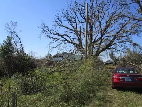 24980 N Sr 71, Altha, FL 32421 photo 8