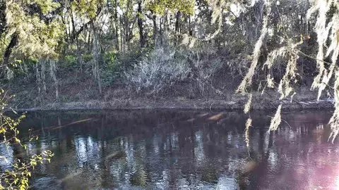 3907 SW 77th Ter, Jasper, FL 32052 photo 22