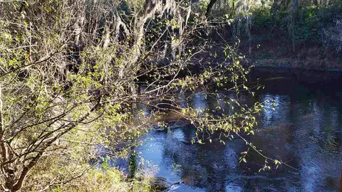 3907 SW 77th Ter, Jasper, FL 32052 photo 17