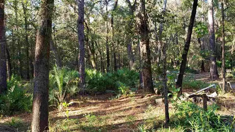 3907 SW 77th Ter, Jasper, FL 32052 photo 28