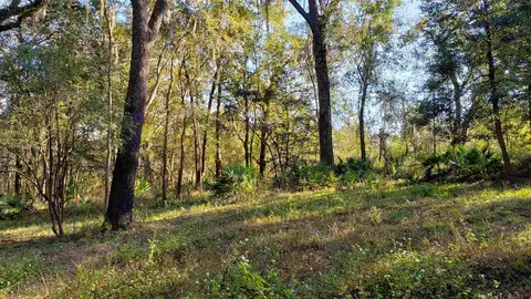 3907 SW 77th Ter, Jasper, FL 32052 photo 11