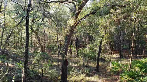3907 SW 77th Ter, Jasper, FL 32052 photo 31