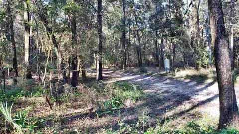 3907 SW 77th Ter, Jasper, FL 32052 photo 6