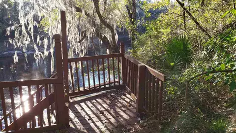 3907 SW 77th Ter, Jasper, FL 32052 photo 12