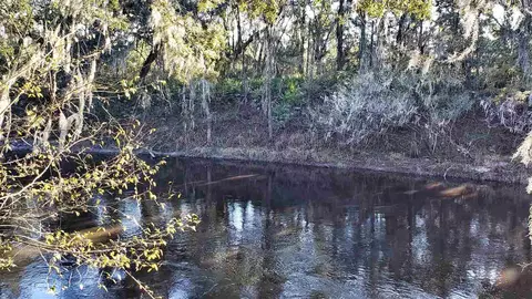 3907 SW 77th Ter, Jasper, FL 32052 photo 19