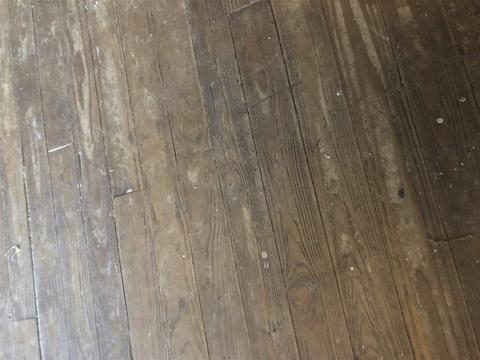 301 S Arena Ave, Perry, FL 32347 photo 9