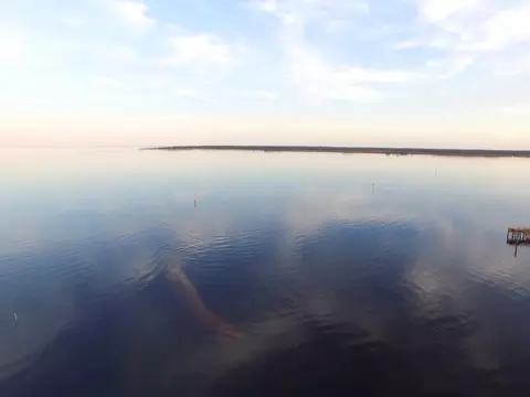 lot4 Schooner Ct W Boat Slip #-, Panacea, FL 32346 photo 8