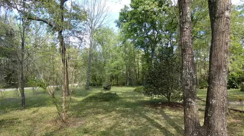 1000 Hatchett Rd, Lamont, FL 32336 photo 22