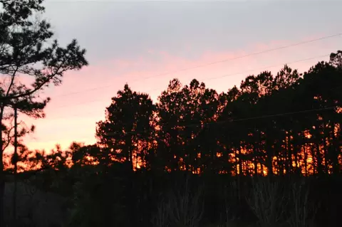 tbd Devane #-, Monticello, FL 32344 photo 6