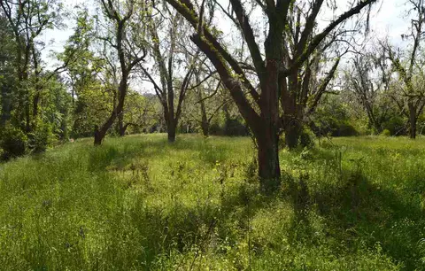 tbd Devane #-, Monticello, FL 32344 photo 1